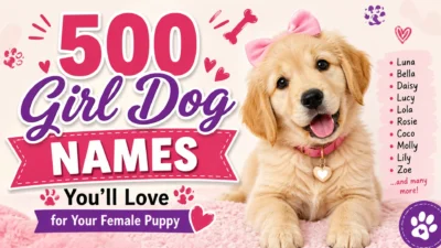 Cute golden female puppy with pink bow promoting 500 girl dog names for your female puppy