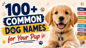 100+ common dog names for your pup with popular name ideas