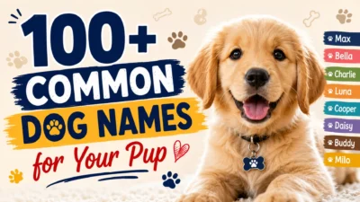 100+ common dog names for your pup with popular name ideas
