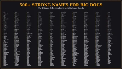 A professional 1920x1080 poster titled "500+ STRONG NAMES FOR BIG DOGS" with the subtitle "The Ultimate Collection for Powerful & Large Breeds". The image features a dark background with orange and white text, listing over 500 dog names in ten organized columns.
