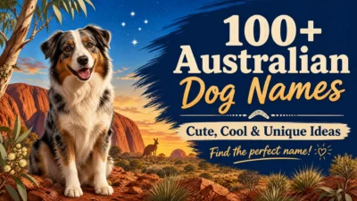 Australian-themed graphic featuring a cheerful Australian shepherd dog in the outback with the headline “100+ Australian Dog Names: Cute, Cool & Unique Ideas.”